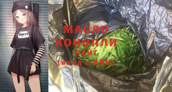 гидра Краснослободск