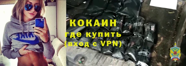 сатива Кукмор