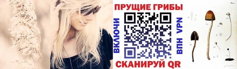 что такое   Нюрба  Галлюциногенные грибы GOLDEN TEACHER 